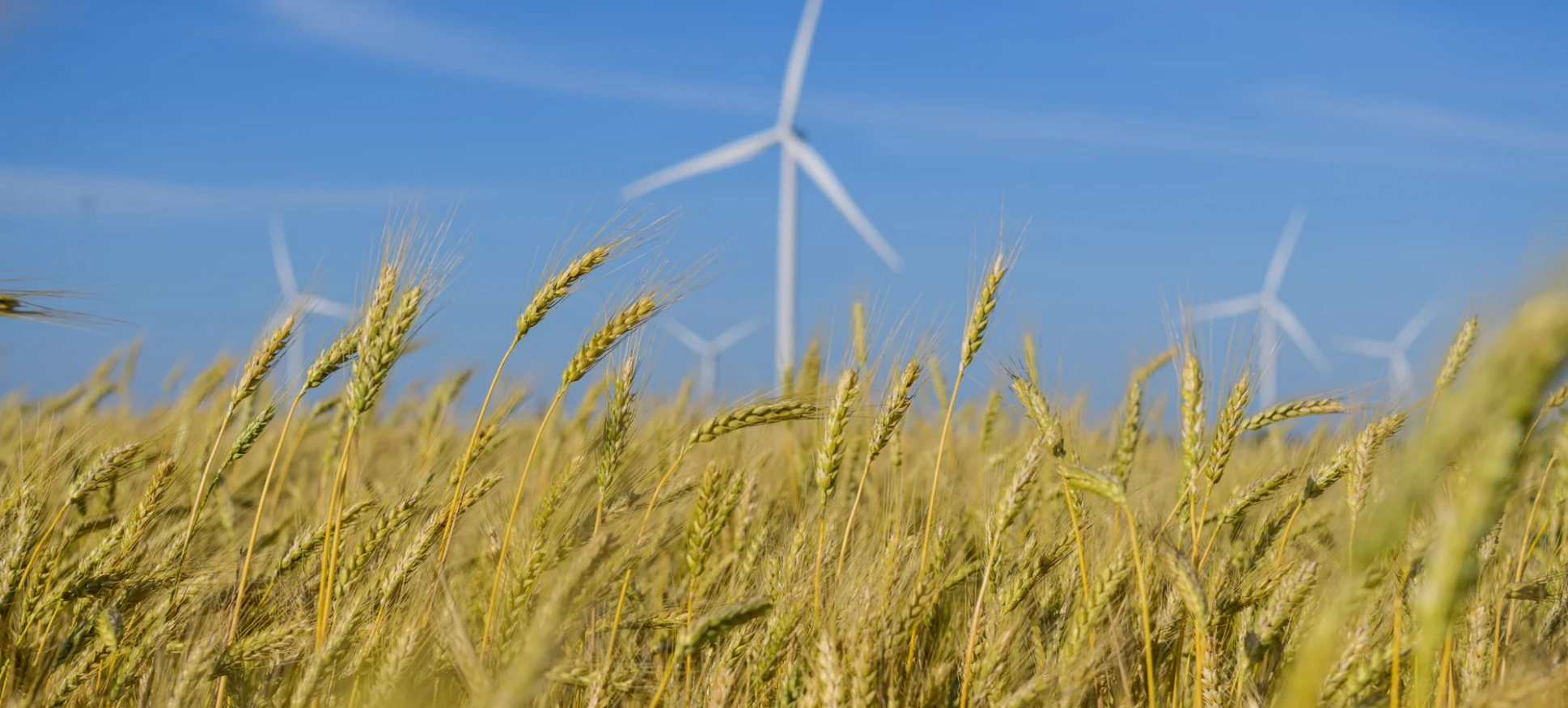 Energy transition at DTEK