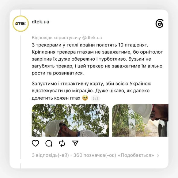 Трек лелек