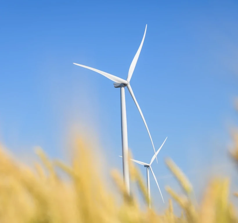 Circular  economy
