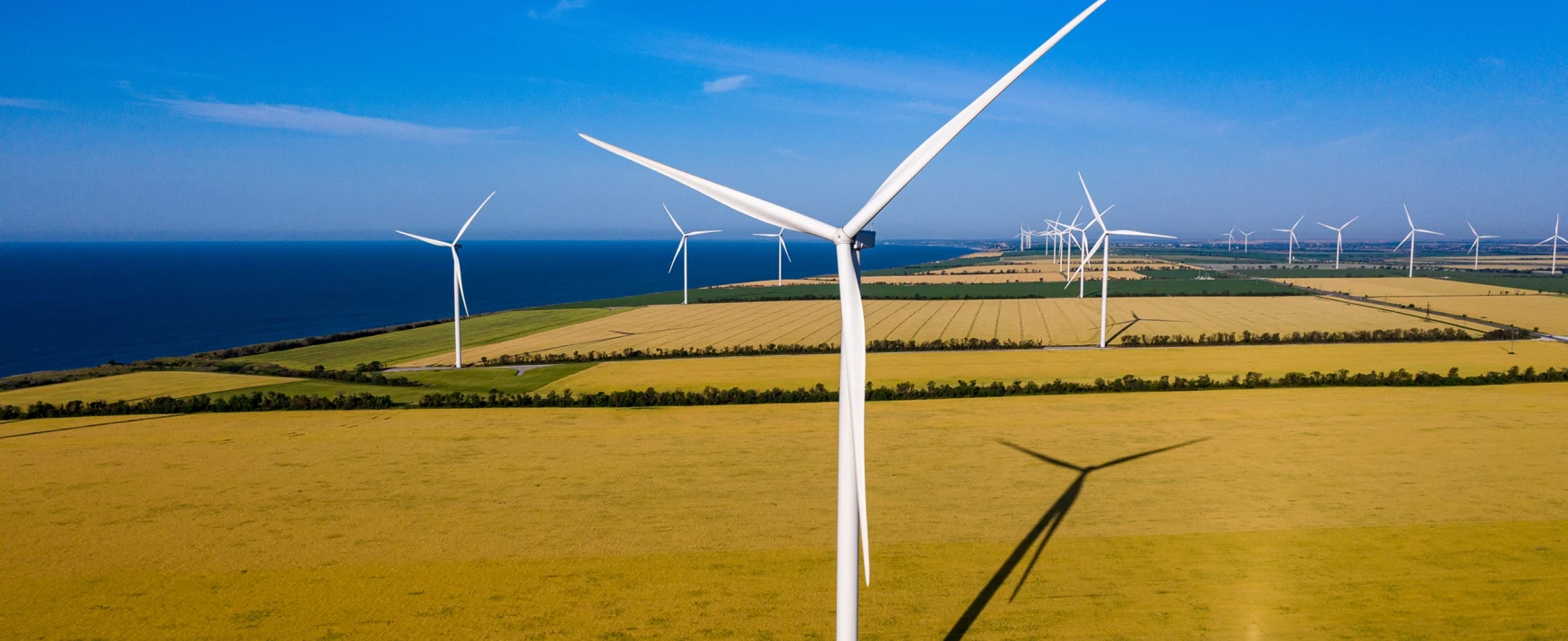 Ukraine's Energy Future