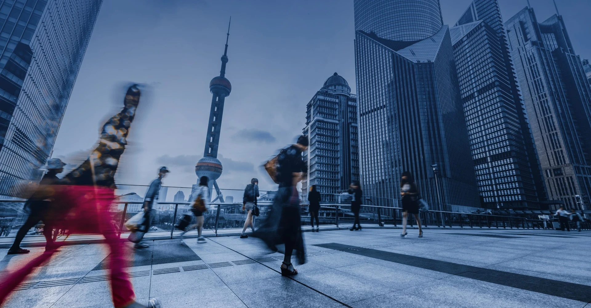 Initiatives with the<br> World Economic Forum