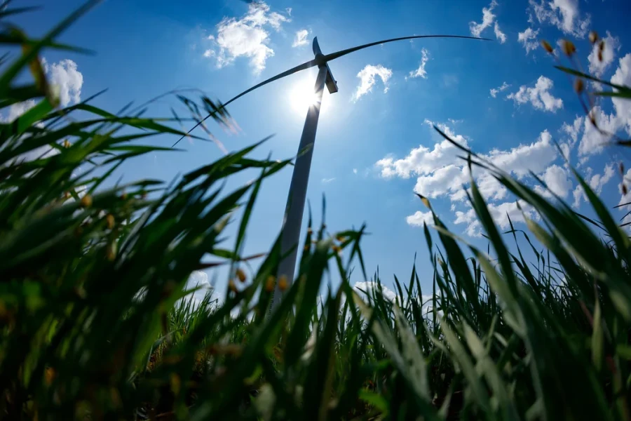 Tyligulska Wind Power Plant, wind farm