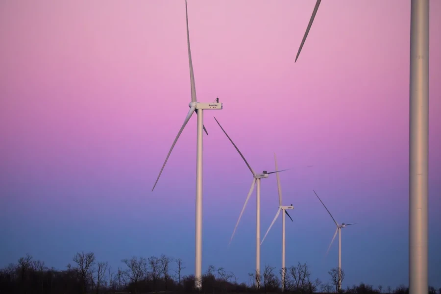 Tyligulska Wind Power Plant, wind farm