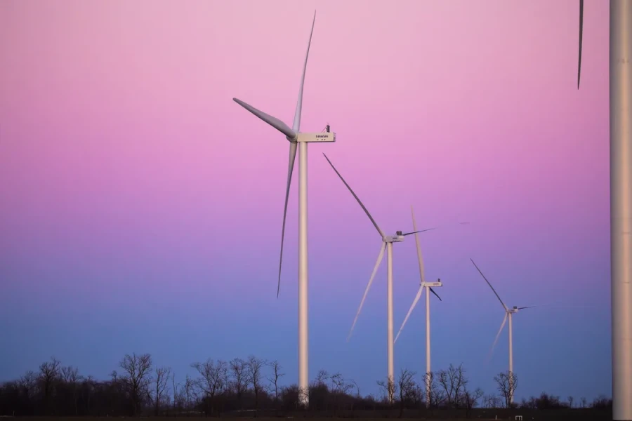 Tyligulska Wind Power Plant, wind farm