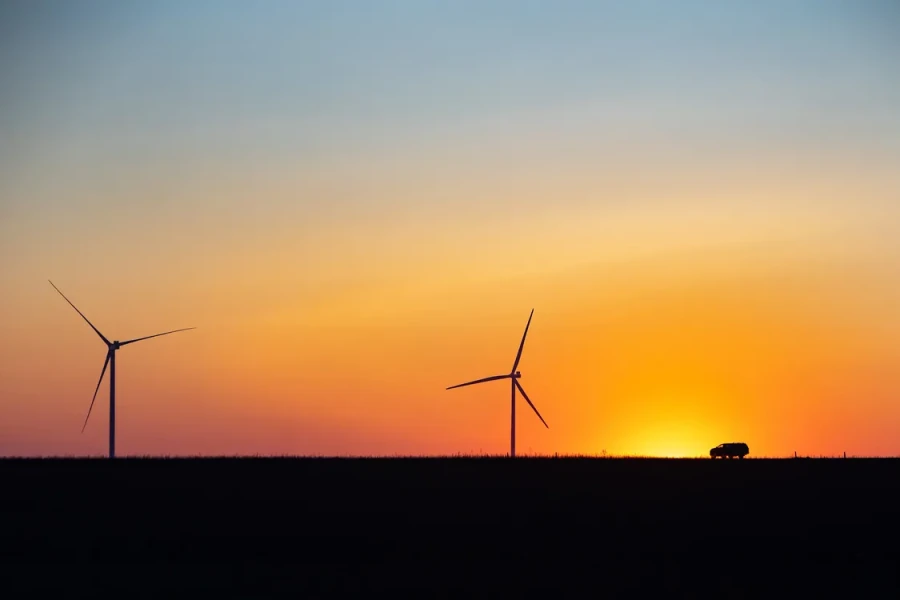 Tyligulska Wind Power Plant, wind farm