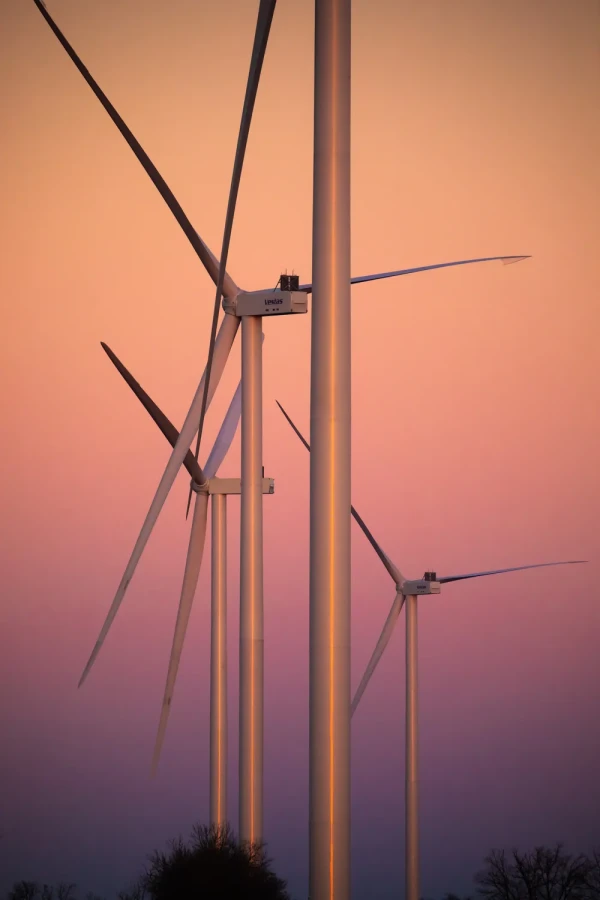 Tyligulska Wind Power Plant, wind farm