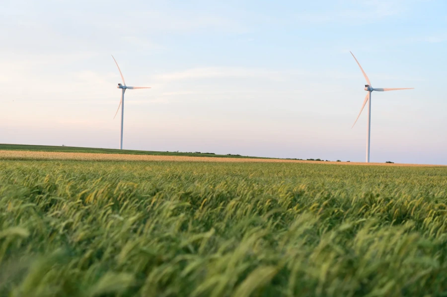 DTEK Renewables, Solar Power Plants (SPP)