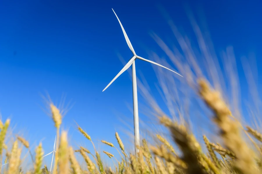 DTEK Renewables, Solar Power Plants (SPP)