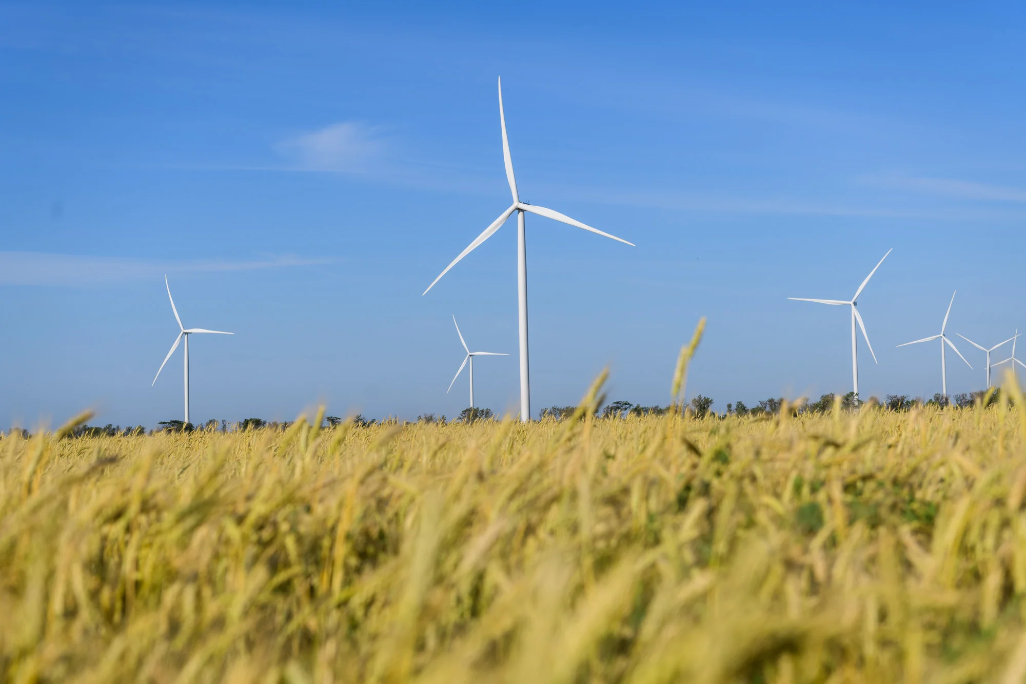DTEK Renewables, Solar Power Plants (SPP)