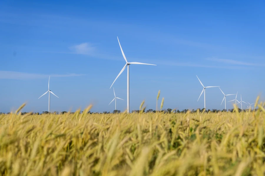 DTEK Renewables, Solar Power Plants (SPP)