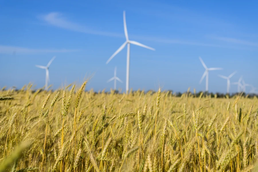DTEK Renewables, Solar Power Plants (SPP)
