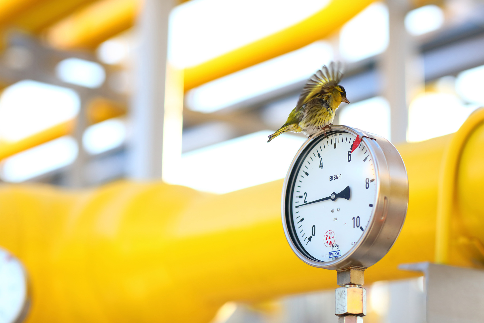 DTEK Oil&Gas, production facilities