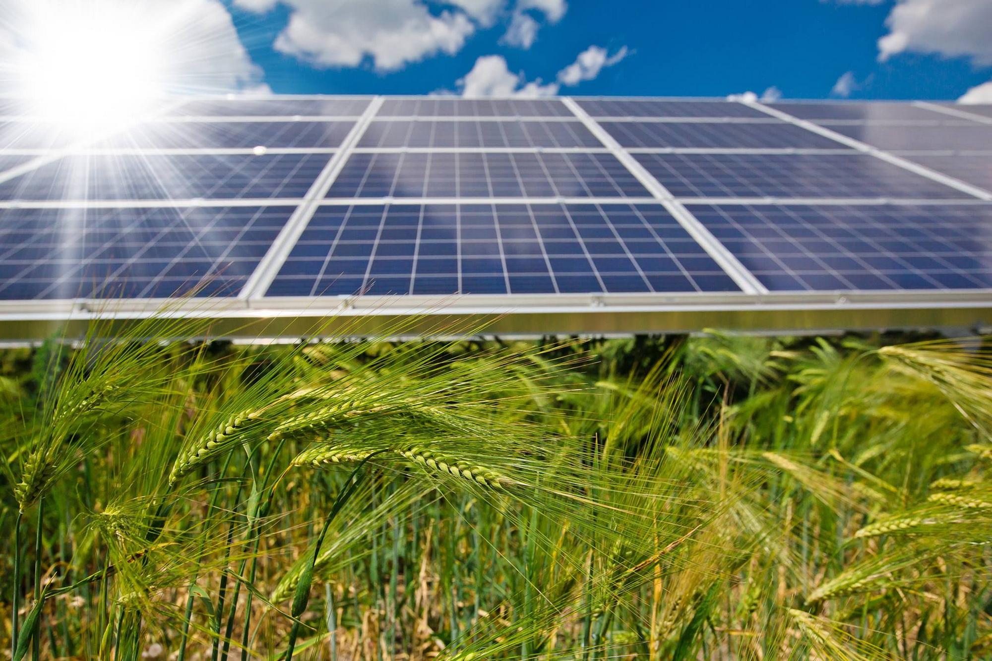 DTEK has joined the Climate Bonds Initiative Partners Program