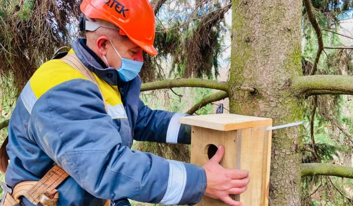 DTEK Grids helped save over 1,650 birds in the past year