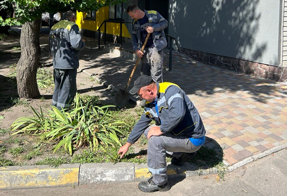 Енергетики ДТЕК Мережі долучилися до World Cleanup Day
