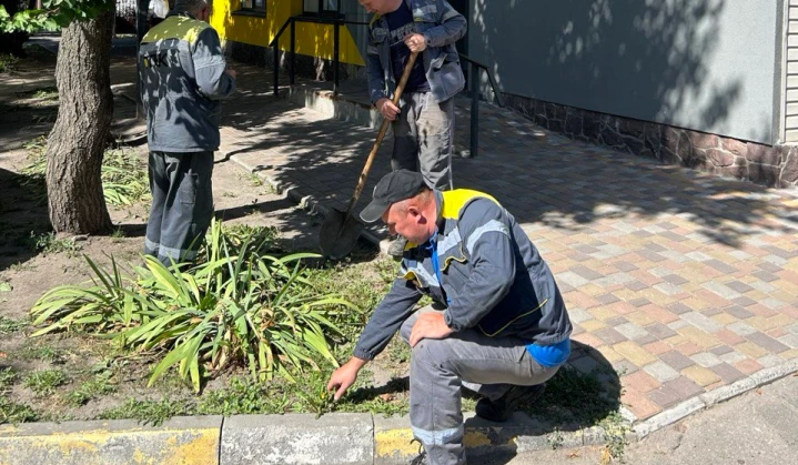 DTEK Grids energy workers joined the World Cleanup Day
