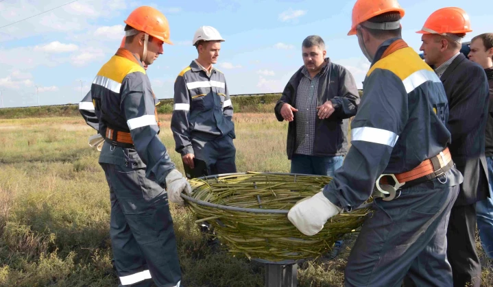 #Лелеченьки: енергетики ДТЕК Мережі укріплять понад 70 гнізд лелек на електроопорах