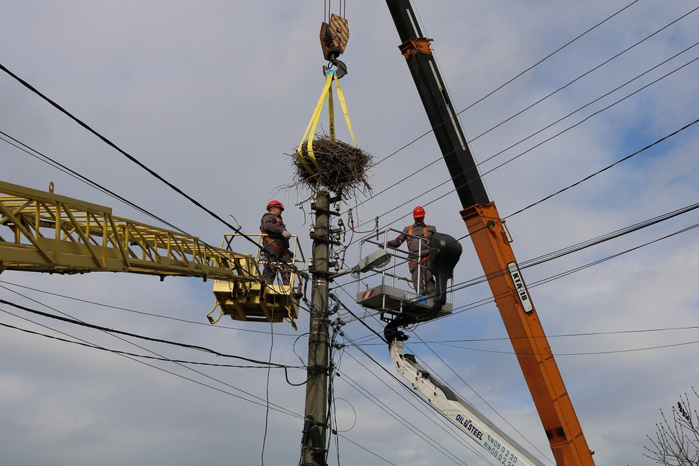 DTEK Grids helped save over 1,650 birds in the past year. Picture 3